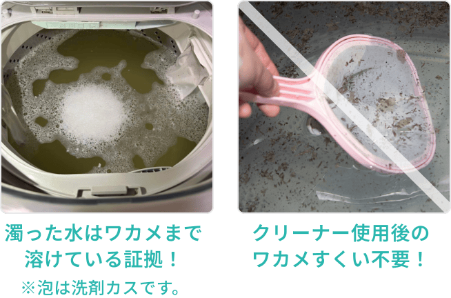 濁った水はワカメまで溶けている証拠！
